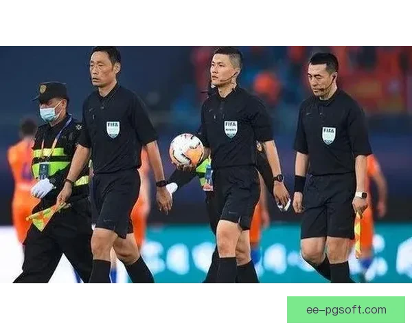 中国足协对43名涉假球黑哨从业者实施终身禁足处罚